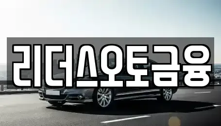 대구 중구 태평로2가 장기렌트카 전문 리더스오토금융