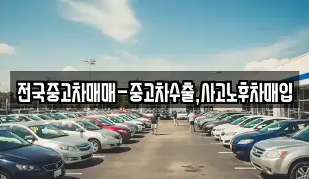 대구 중구 태평로2가 중고차매매 전문 전국중고차매매-중고차수출,사고노후차매입