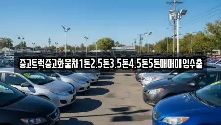 대구 중구 태평로2가 중고차매매 전문 중고트럭중고화물차1톤2.5톤3.5톤4.5톤5톤매매매입수출
