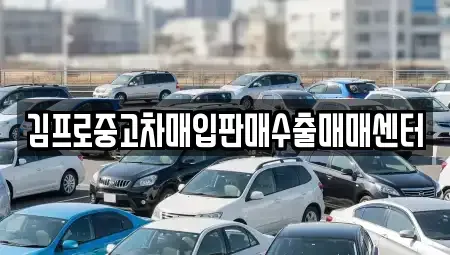 대구 중구 태평로2가 중고차매입 전문 김프로중고차매입판매수출매매센터