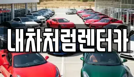 대구광역시 달성군 현풍읍 렌트카 전문 내차처럼렌터카