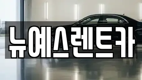대구광역시 달성군 현풍읍 렌트카 전문 뉴예스렌트카
