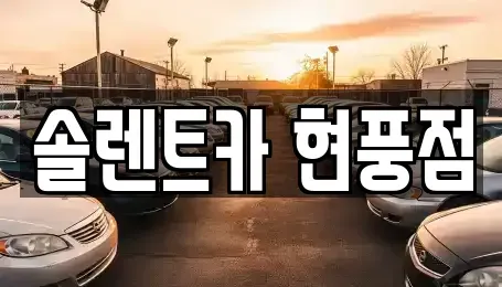 대구광역시 달성군 현풍읍 렌트카 전문 솔렌트카 현풍점