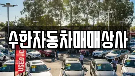 대구광역시 달성군 현풍읍 중고차,렌트카,중고차매입,중고차매매,장기렌트카,단기렌트카