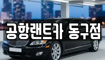 대구광역시 동구 부동 렌트카 전문 공항랜트카 동구점