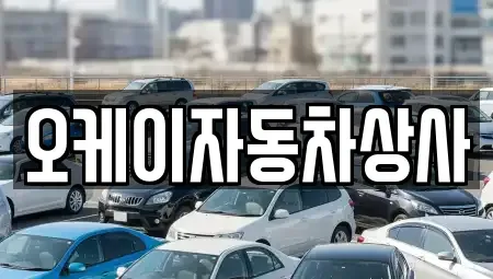 대구광역시 동구 부동 중고차매매,단기렌트카,중고차매입,장기렌트카,중고차,렌트카
