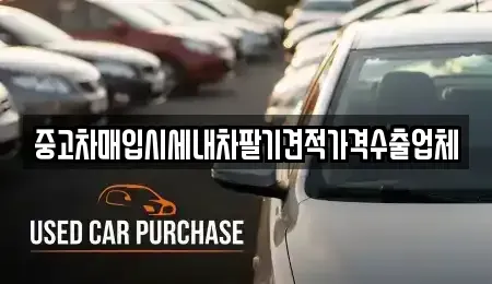 대구광역시 동구 부동 중고차매매 전문 중고차매입시세내차팔기견적가격수출업체