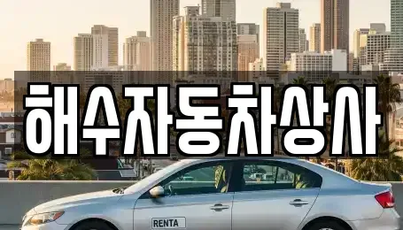 대구광역시 동구 부동 중고차매매 전문 해수자동차상사