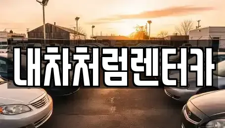 대구광역시 북구 고성동2가 렌트카 전문 내차처럼렌터카