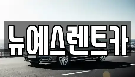 대구광역시 북구 고성동2가 렌트카 전문 뉴예스렌트카