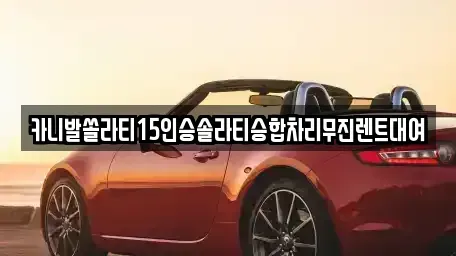 대구광역시 북구 고성동2가 렌트카 전문 카니발쏠라티15인승솔라티승합차리무진렌트대여
