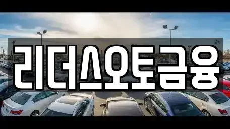 대구광역시 북구 고성동2가 장기렌트카 전문 리더스오토금융