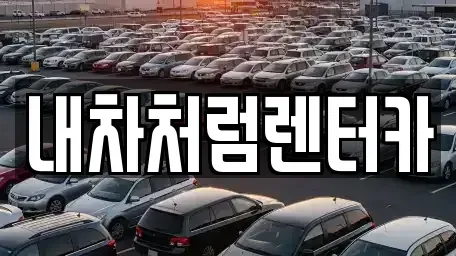 대구광역시 북구 침산동 렌트카 전문 내차처럼렌터카