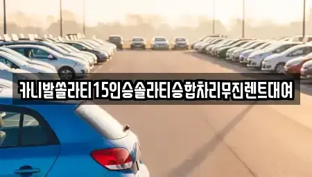 대구광역시 북구 침산동 렌트카 전문 카니발쏠라티15인승솔라티승합차리무진렌트대여