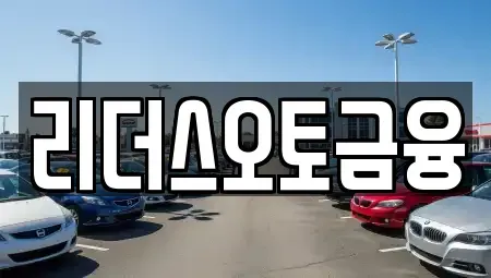 대구광역시 북구 침산동 장기렌트카 전문 리더스오토금융