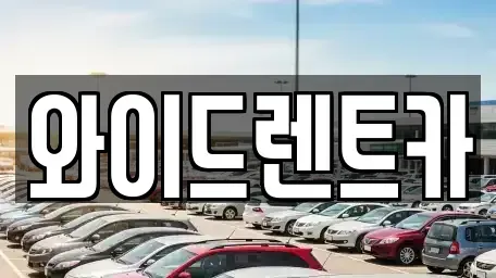 대구광역시 서구 원대동3가 렌트카 전문 와이드렌트카