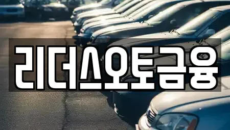대구광역시 서구 원대동3가 장기렌트카 전문 리더스오토금융