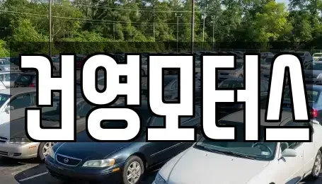 대구광역시 서구 원대동3가 중고차매매 전문 건영모터스