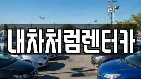 대구광역시 수성구 황금동 렌트카 전문 내차처럼렌터카