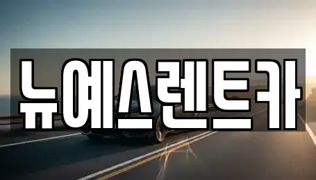 대구광역시 수성구 황금동 렌트카 전문 뉴예스렌트카
