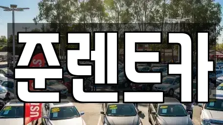 대구광역시 수성구 황금동 렌트카 전문 준렌트카