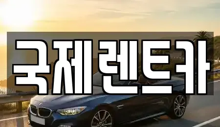 대구광역시 수성구 황금동 장기렌트카 전문 국제렌트카