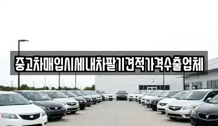 대구광역시 수성구 황금동 중고차 전문 중고차매입시세내차팔기견적가격수출업체