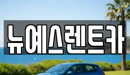 대구광역시 중구 덕산동 렌트카 전문 뉴예스렌트카