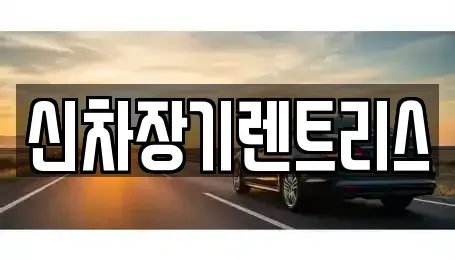 대구광역시 중구 덕산동 렌트카 전문 신차장기렌트리스