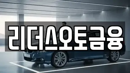 대구광역시 중구 덕산동 장기렌트카 전문 리더스오토금융