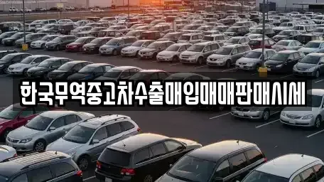 대구광역시 중구 덕산동 중고차매매 전문 한국무역중고차수출매입매매판매시세