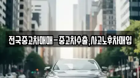 대구광역시 중구 북성로1가 중고차매매 전문 전국중고차매매-중고차수출,사고노후차매입