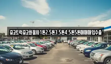 대구광역시 중구 북성로1가 중고차매매 전문 중고트럭중고화물차1톤2.5톤3.5톤4.5톤5톤매매매입수출