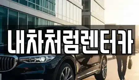 대구광역시 중구 삼덕동1가 렌트카 전문 내차처럼렌터카
