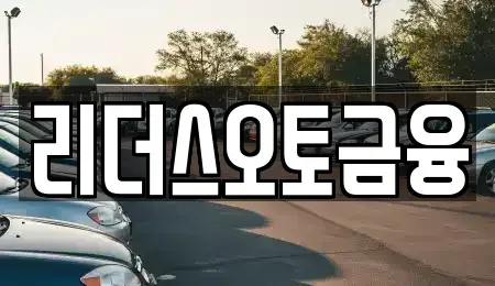 대구광역시 중구 삼덕동1가 장기렌트카 전문 리더스오토금융