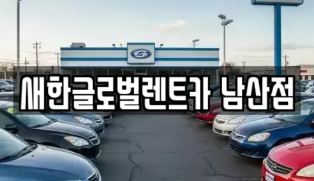 대구광역시 중구 삼덕동1가 장기렌트카 전문 새한글로벌렌트카 남산점