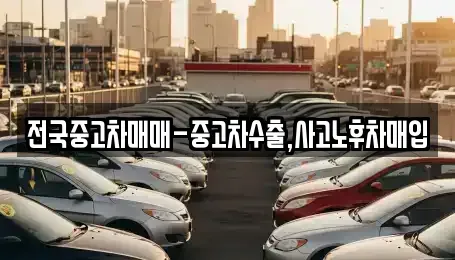 대구광역시 중구 삼덕동1가 중고차 전문 전국중고차매매-중고차수출,사고노후차매입