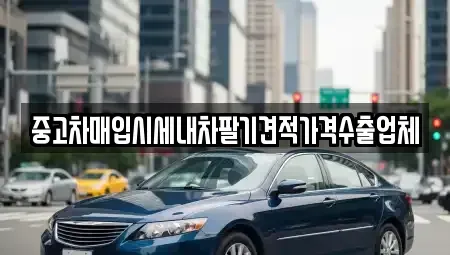 대구광역시 중구 삼덕동1가 중고차매입 전문 중고차매입시세내차팔기견적가격수출업체