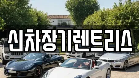대구광역시 중구 종로2가 장기렌트카 전문 신차장기렌트리스
