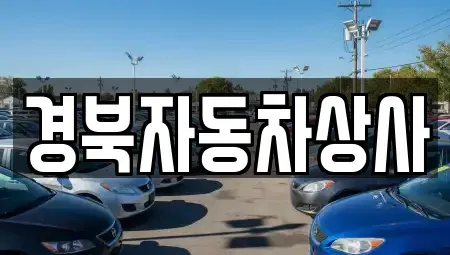대구광역시 중구 종로2가 중고차매매 전문 경북자동차상사