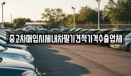대구광역시 중구 종로2가 중고차매매 전문 중고차매입시세내차팔기견적가격수출업체