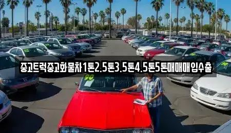 대구광역시 중구 종로2가 중고차매매 전문 중고트럭중고화물차1톤2.5톤3.5톤4.5톤5톤매매매입수출