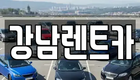 대전 동구 구도동 렌트카 전문 강남렌트카