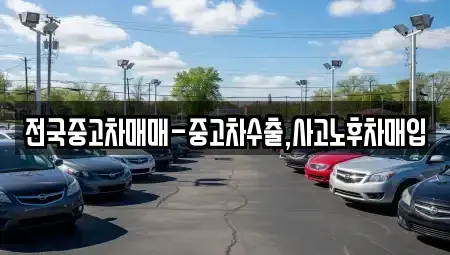 대전 동구 구도동 중고차매입 전문 전국중고차매매-중고차수출,사고노후차매입