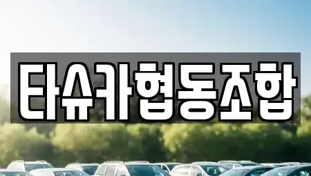 대전 서구 갈마동 장기렌트카 전문 타슈카협동조합