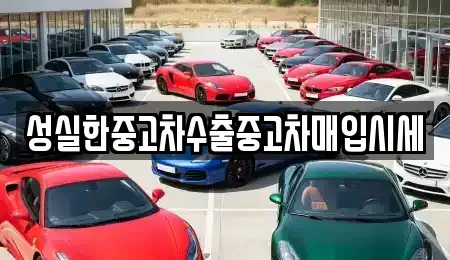 대전 서구 갈마동 중고차매입 전문 성실한중고차수출중고차매입시세