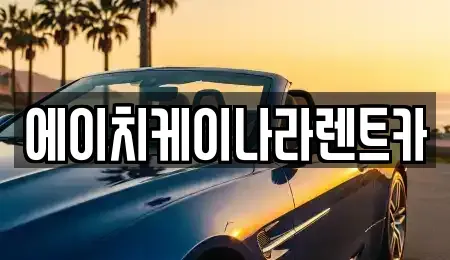대전 유성구 대정동 렌트카 전문 에이치케이나라렌트카
