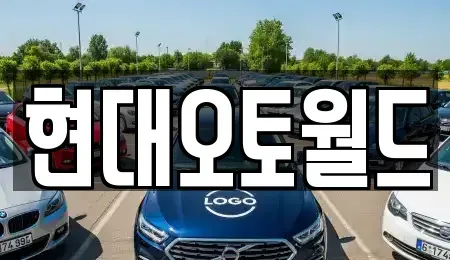 대전 유성구 복용동 중고차 전문 현대오토월드