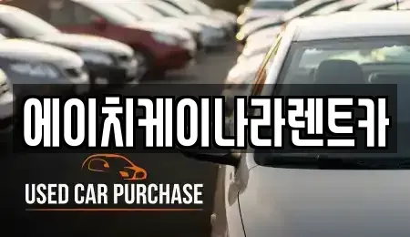 대전 유성구 신동 렌트카 전문 에이치케이나라렌트카