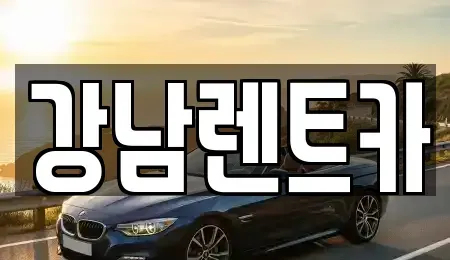 대전 유성구 용계동 렌트카 전문 강남렌트카